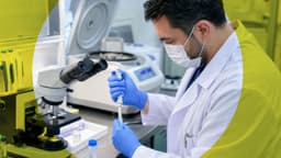 Improving sperm quality before a surrogacy journey