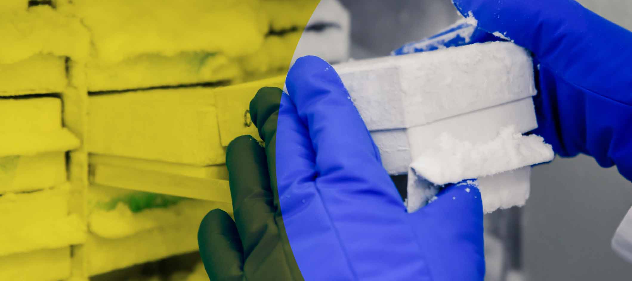 Storing embryos and sperm at the clinic